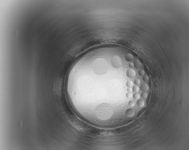 X0000069380742200605262050