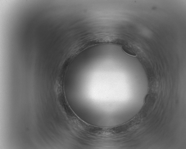 X0000069380743200605262050