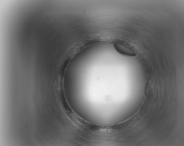 X0000069380744200605262050