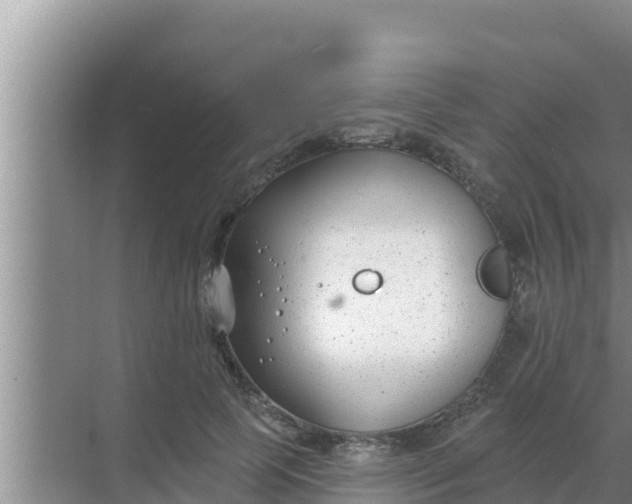 X0000069380745200605262050