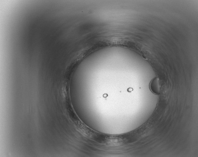 X0000069380746200605262050