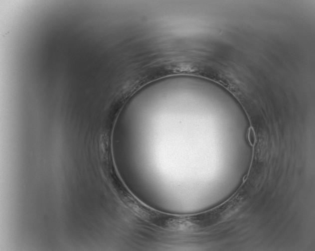 X0000069380747200605262050