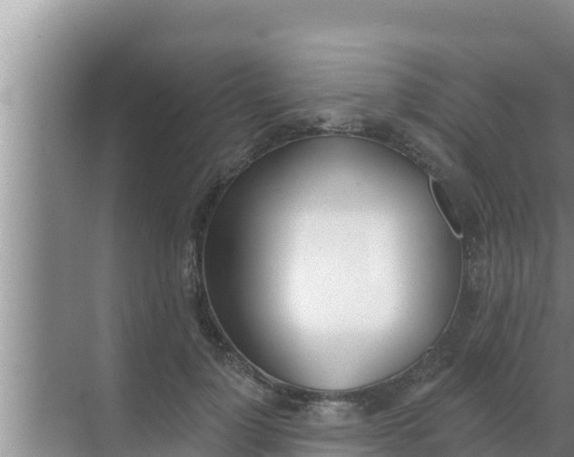 X0000069380748200605262050