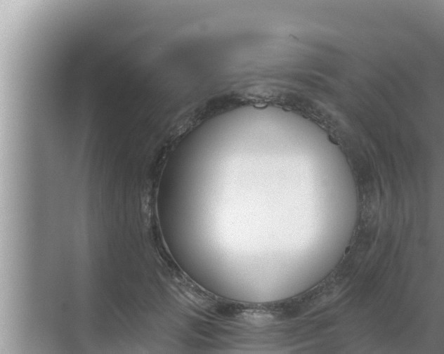 X0000069380749200605262050