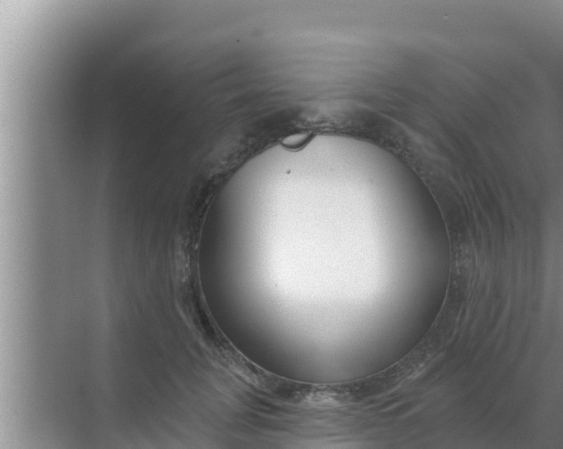 X0000069380751200605262050