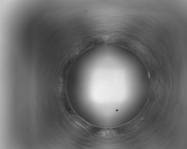 X0000069380752200605262050