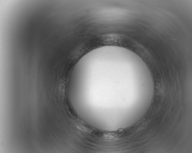 X0000069380753200605262050