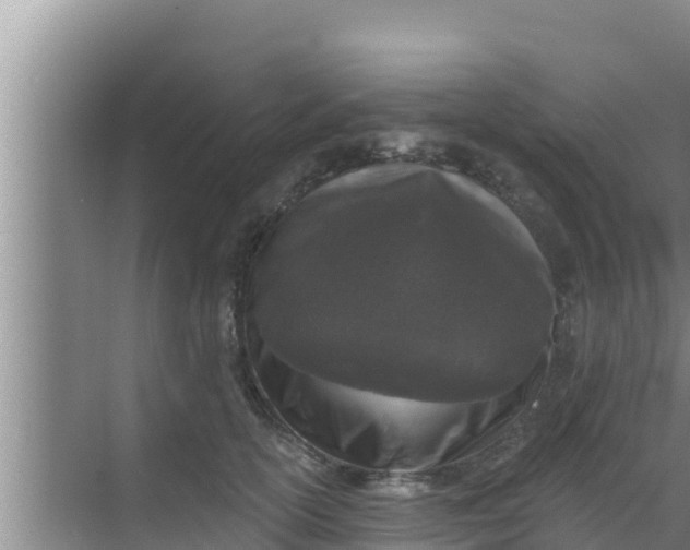 X0000069380754200605262050