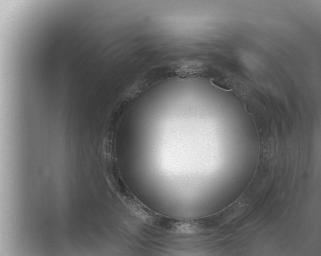 X0000069380755200605262050