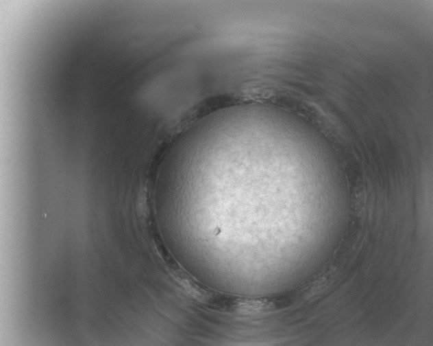 X0000069380757200605262050