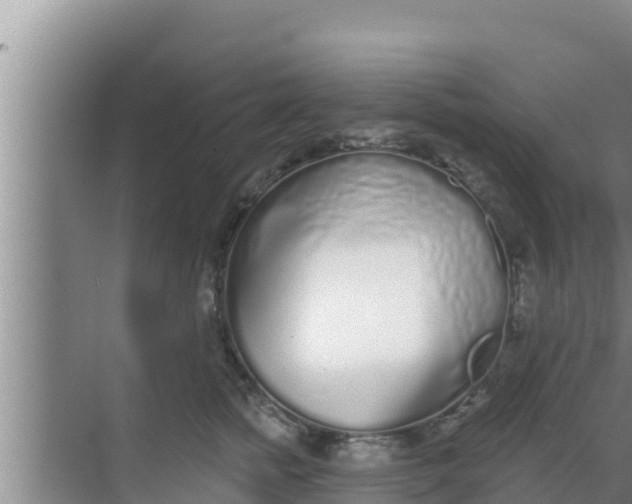 X0000069380758200605262050