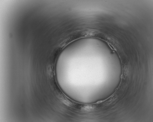 X0000069380759200605262050