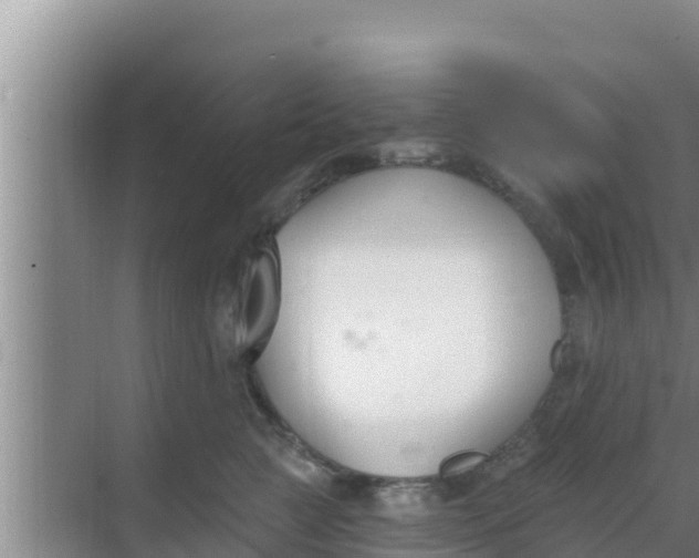 X0000069380761200605262050