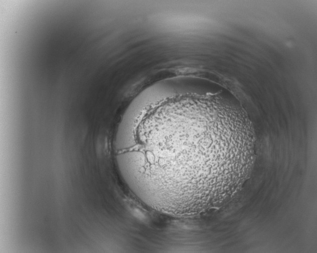 X0000069380763200605262050