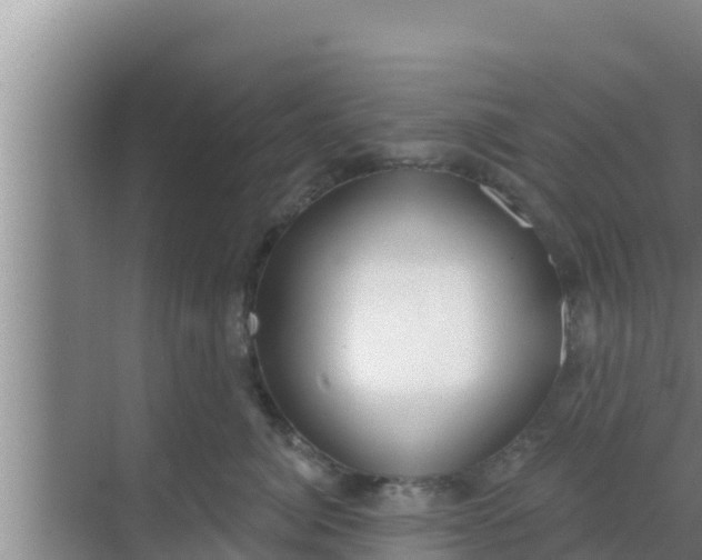 X0000069380764200605262050