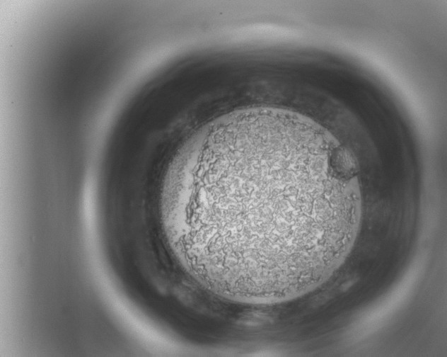 X0000069380765200605262050