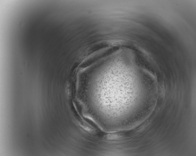 X0000069380766200605262050