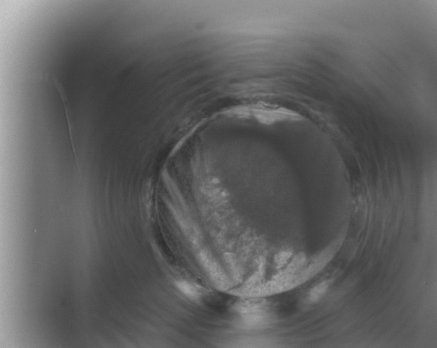 X0000069380767200605262050