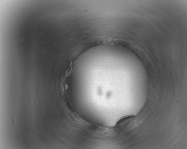 X0000069380768200605262050