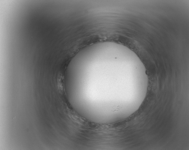 X0000069380770200605262049