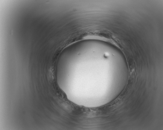 X0000069380772200605262049