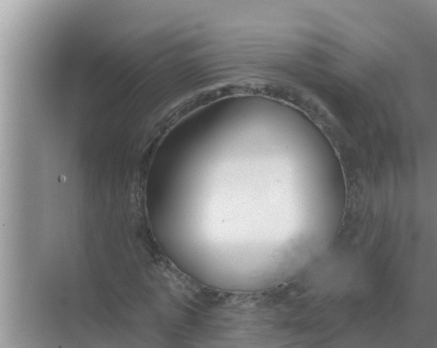 X0000069380773200605262049