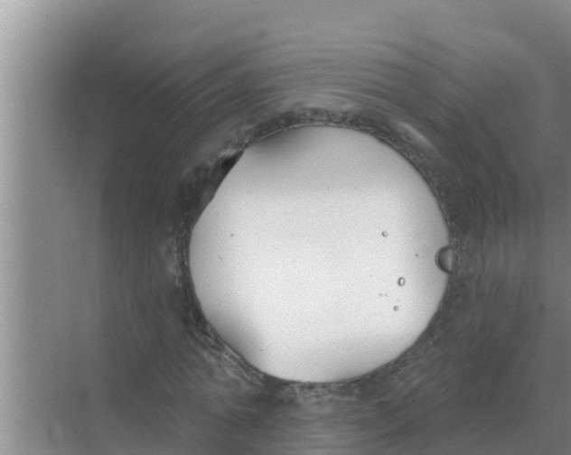 X0000069380774200605262049