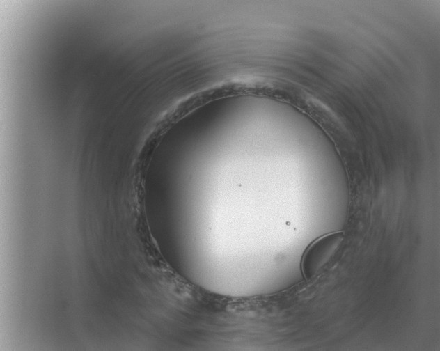 X0000069380776200605262049