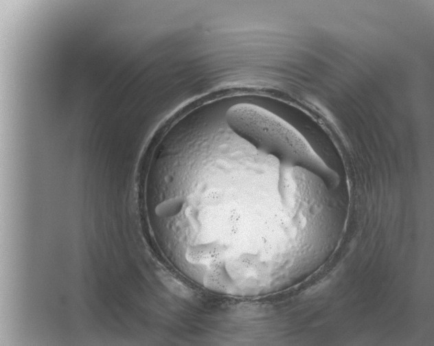 X0000069380779200605262049