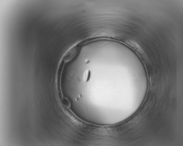 X0000069380780200605262049