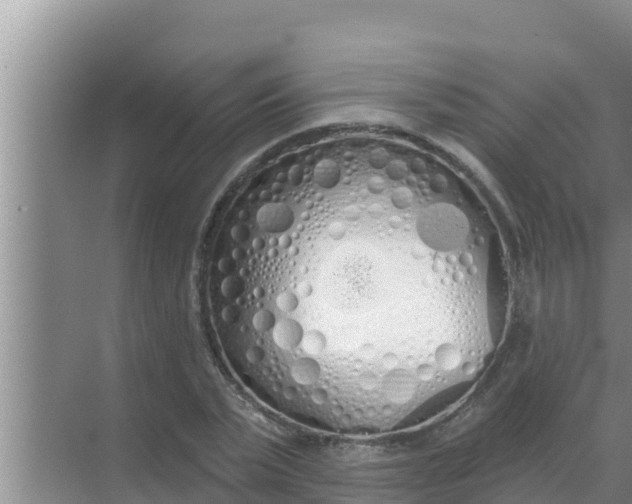 X0000069380783200605262049