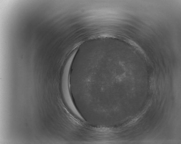 X0000069380785200605262049