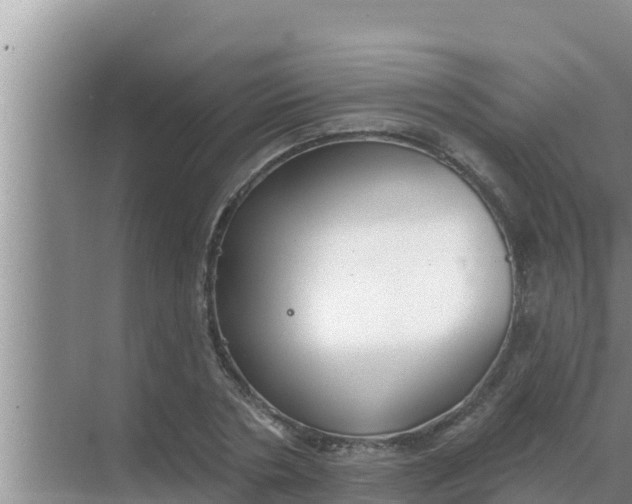 X0000069380786200605262049