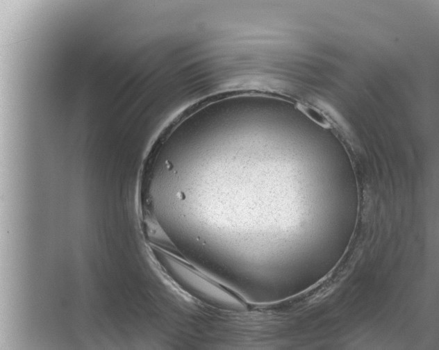 X0000069380788200605262049