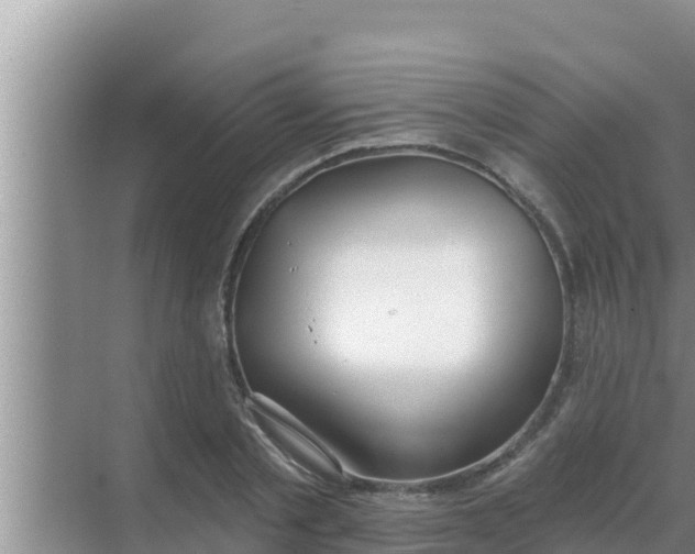 X0000069380789200605262049