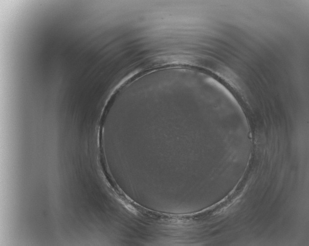 X0000069380790200605262049