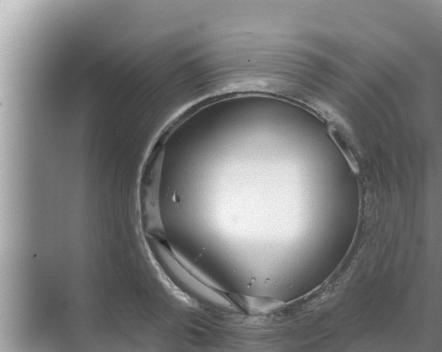 X0000069380792200605262049