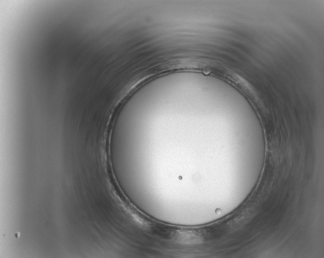 X0000069380794200605262049