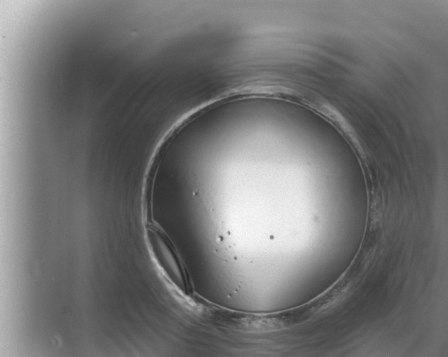 X0000069380795200605262049