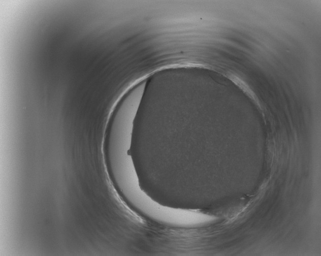 X0000069380797200605262049