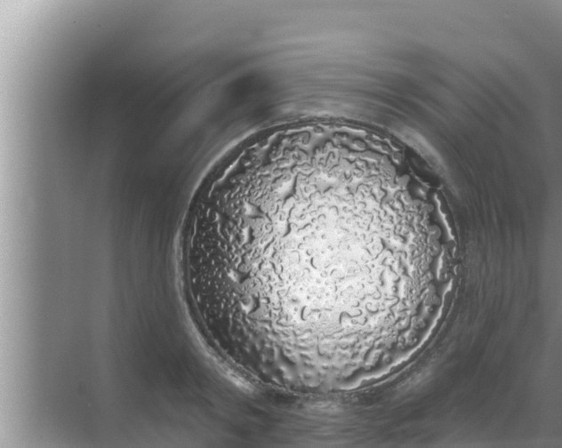 X0000069380798200605262049