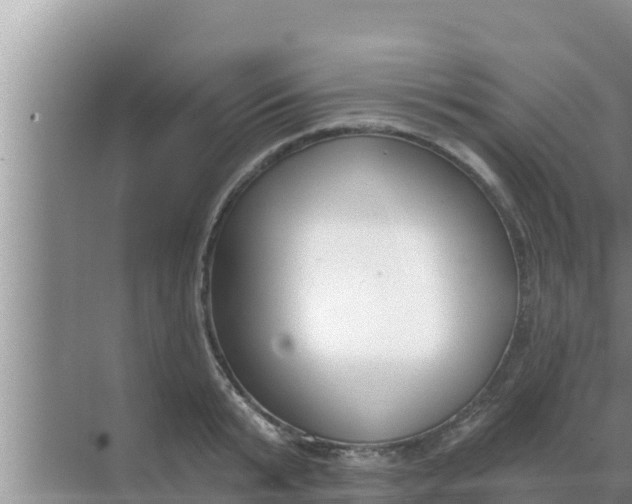 X0000069380799200605262049