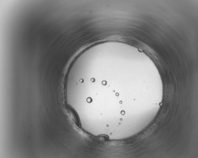 X0000069380808200605262049