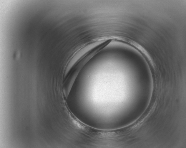 X0000069380809200605262049