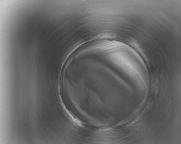 X0000069380810200605262049