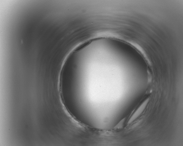 X0000069380815200605262049