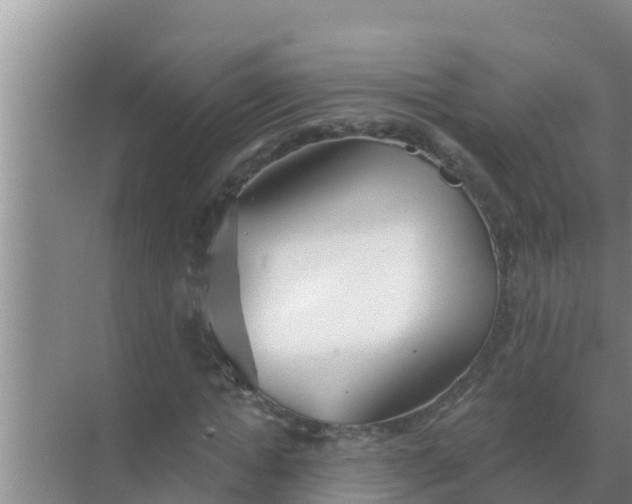 X0000069380822200605262048