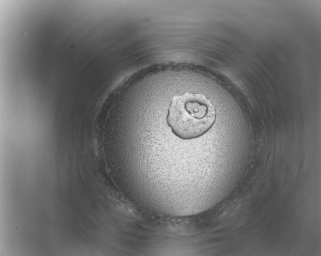 X0000069380823200605262048