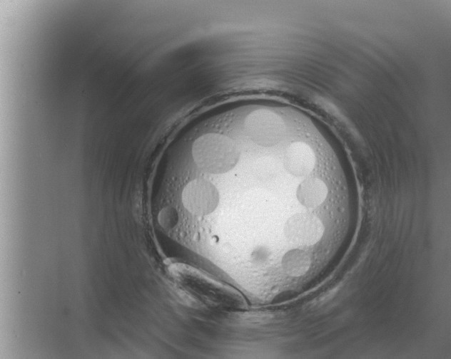 X0000069380825200605262048