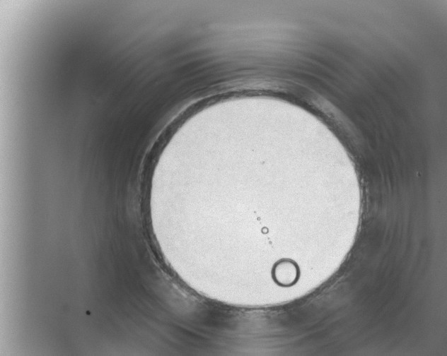 X0000069380828200605262048